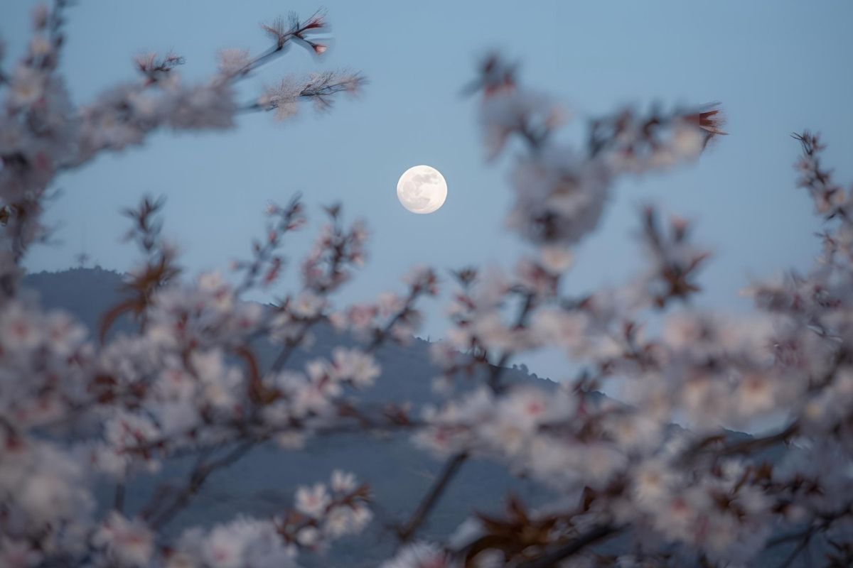 「有明」という地名の由来