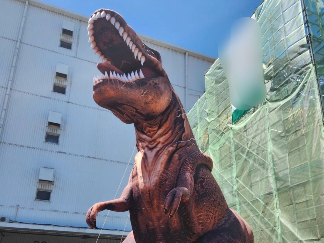 【2026年GW】有明住宅公園イベント開催レポート