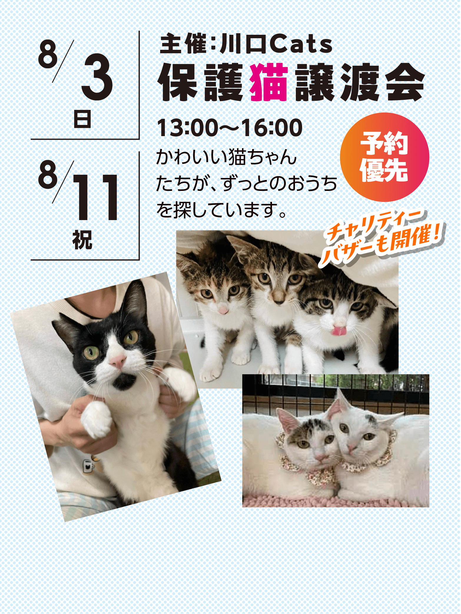 保護猫譲渡会