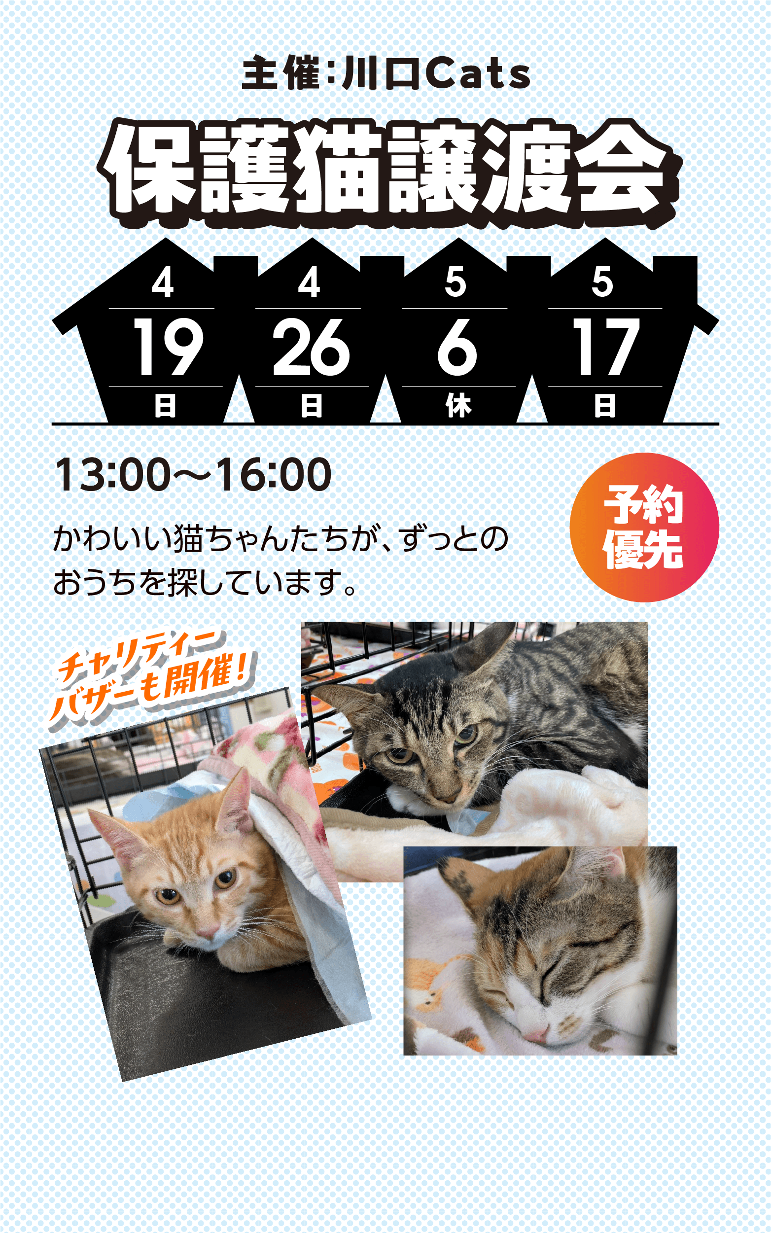 保護猫譲渡会
