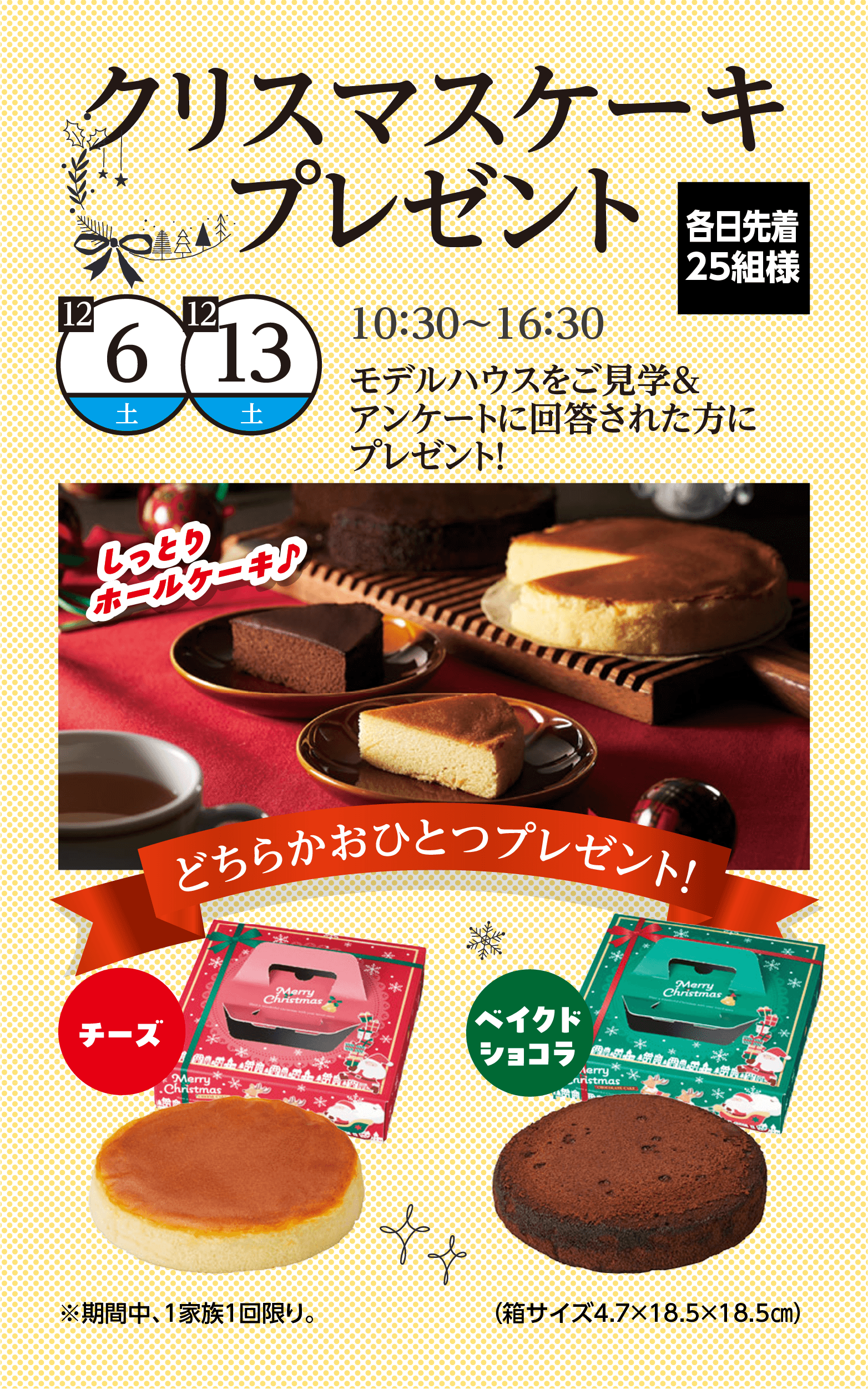 クリスマスケーキプレゼント
