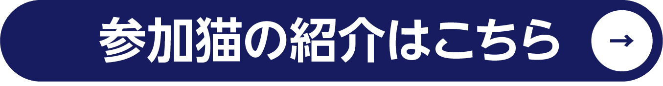 参加猫はこちら