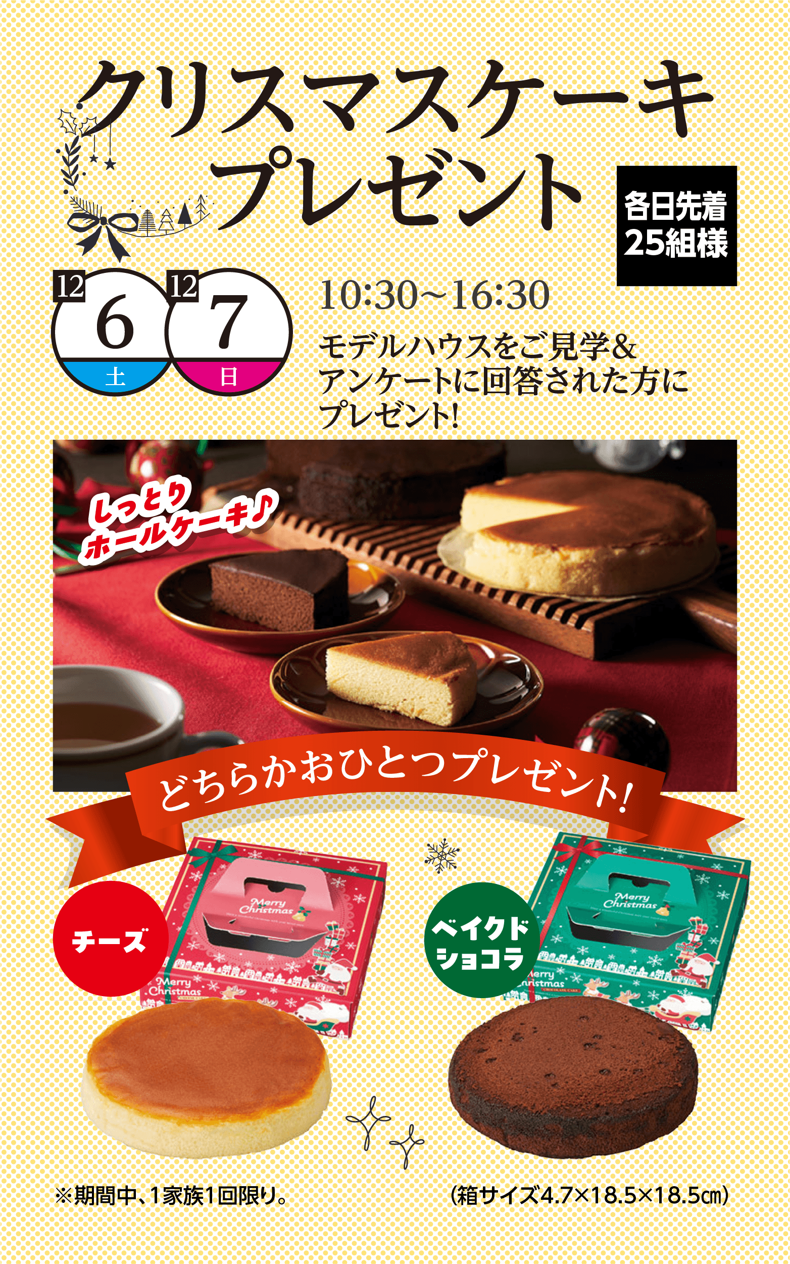 クリスマスケーキプレゼント