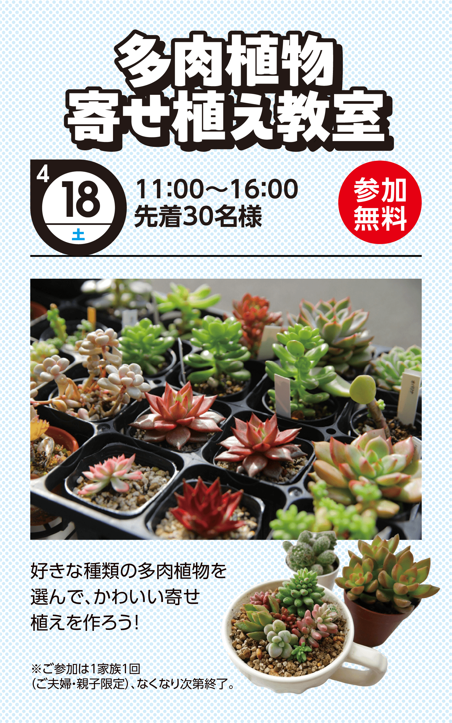 多肉植物寄せ植え教室