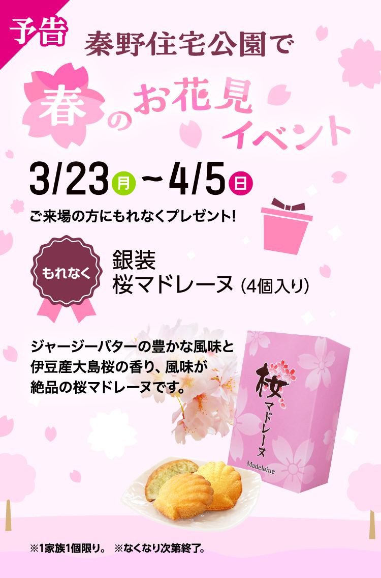 秦野住宅公園で春のお花見イベント