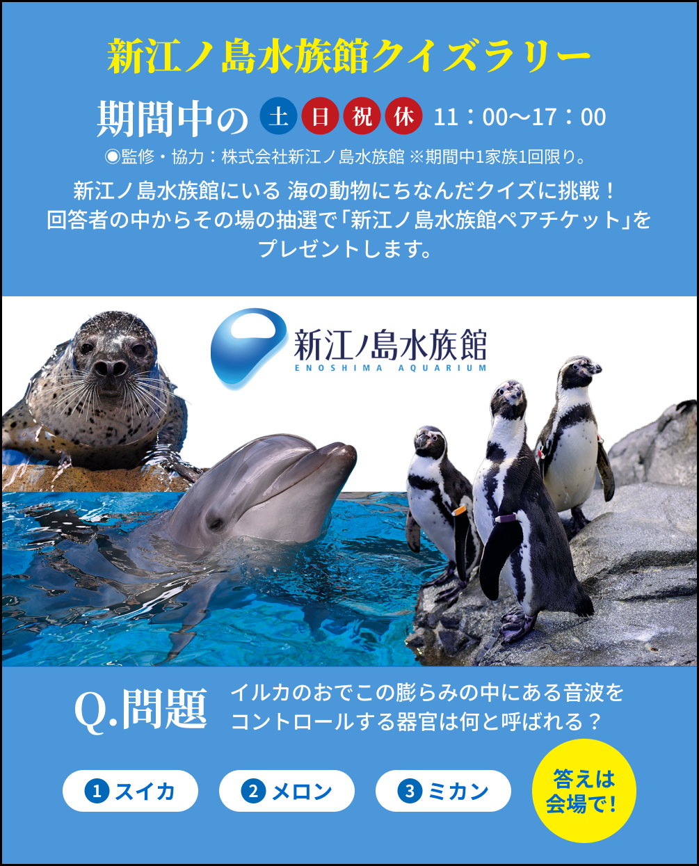 新江ノ島水族館クイズラリー