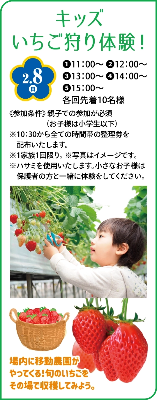 キッズいちご狩り体験！
