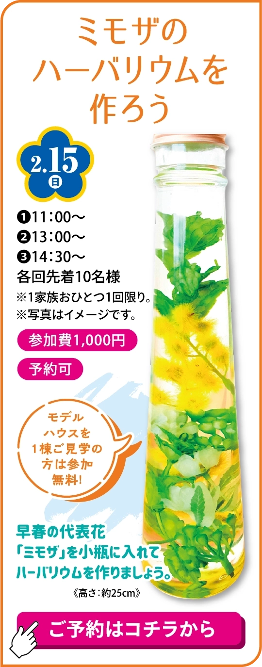 ミモザのハーバリウムを作ろう