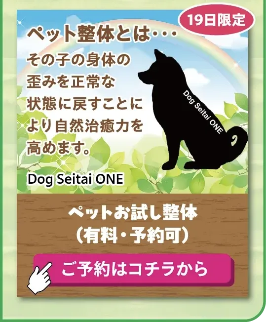 ペットお試し整体