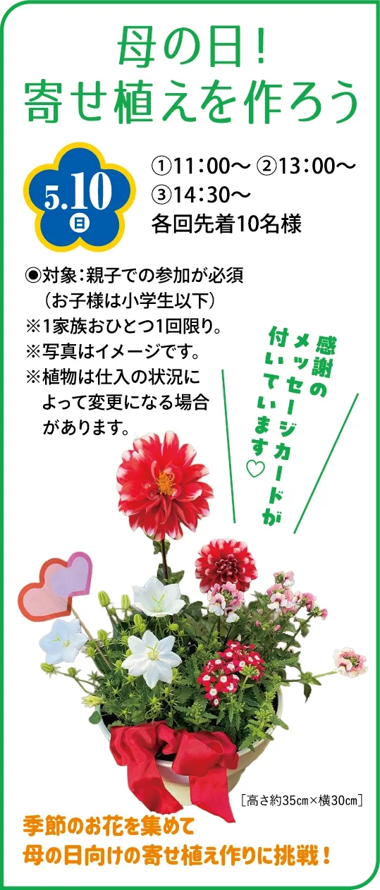 母の日!寄せ植えを作ろう