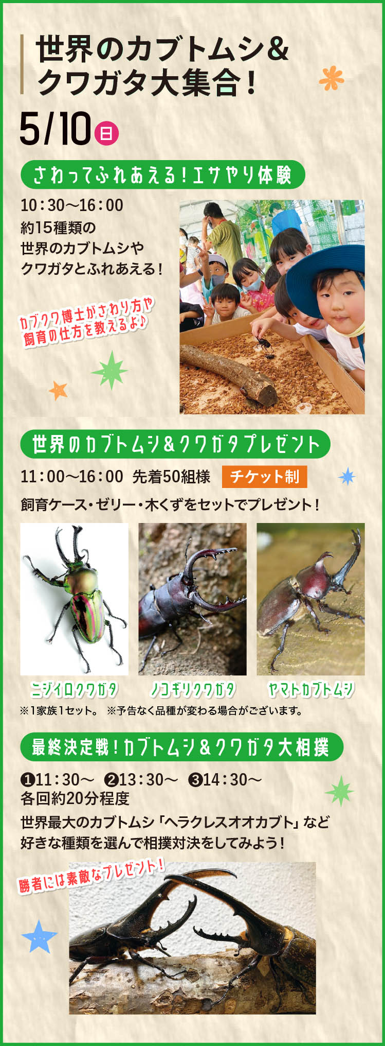 世界のカブトムシ＆クワガタ大集合！