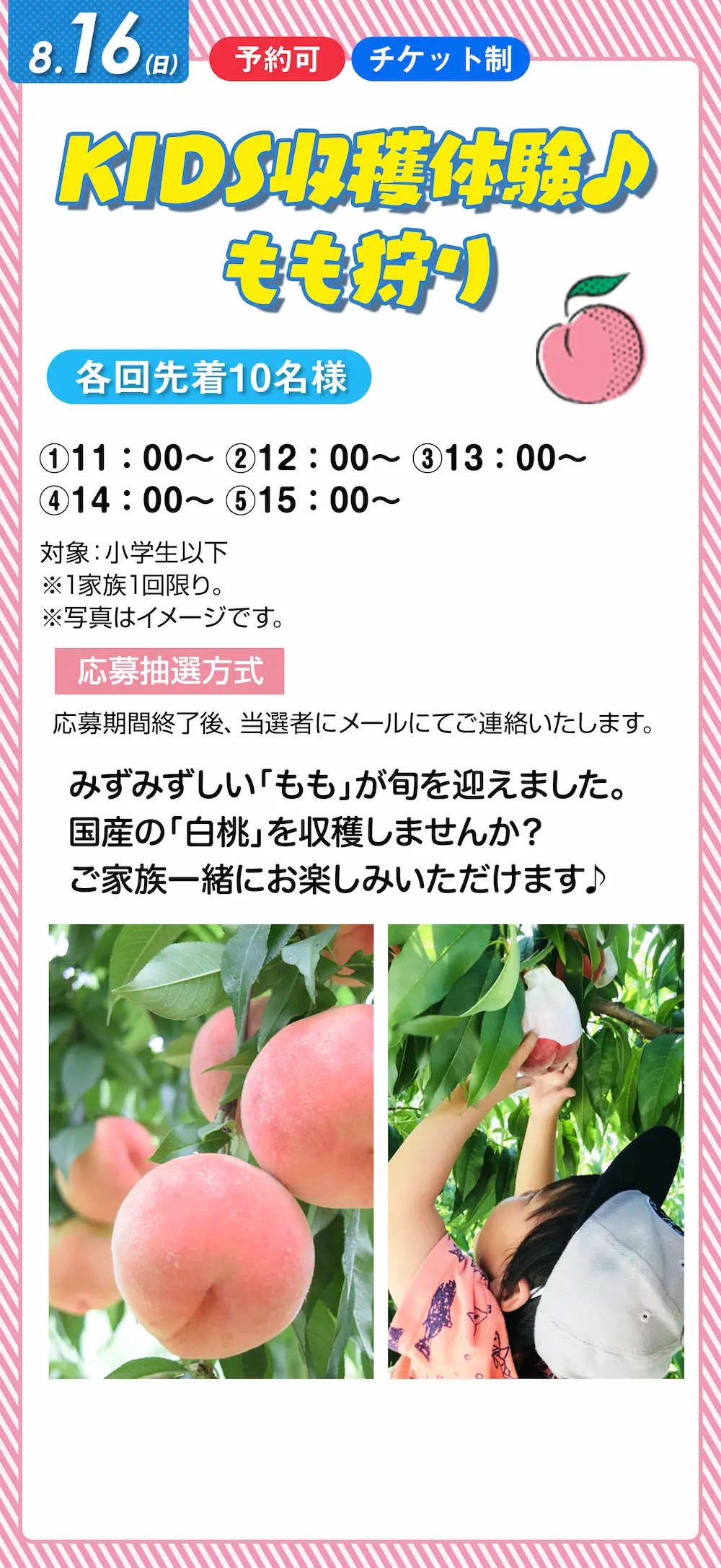 8月16日 KIDS収穫体験 もも狩り