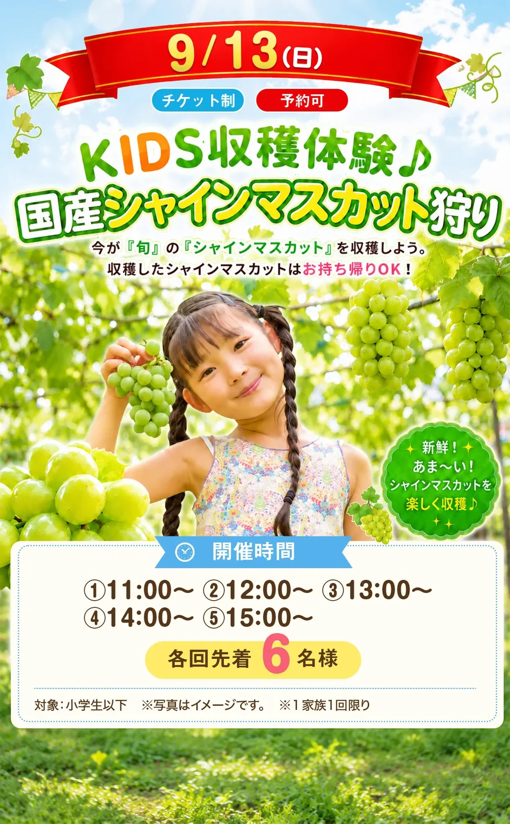 9月13日 KIDS収穫体験 国産シャインマスカット狩り