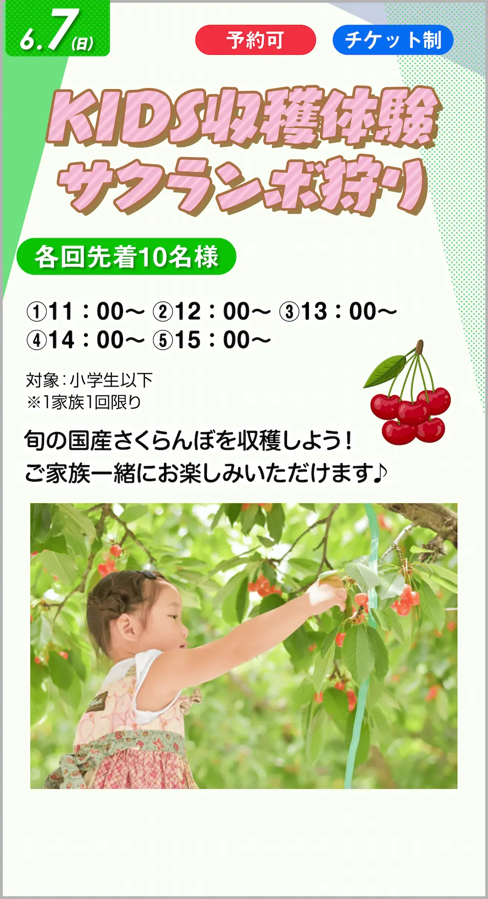 KIDS収穫体験 サクランボ狩り