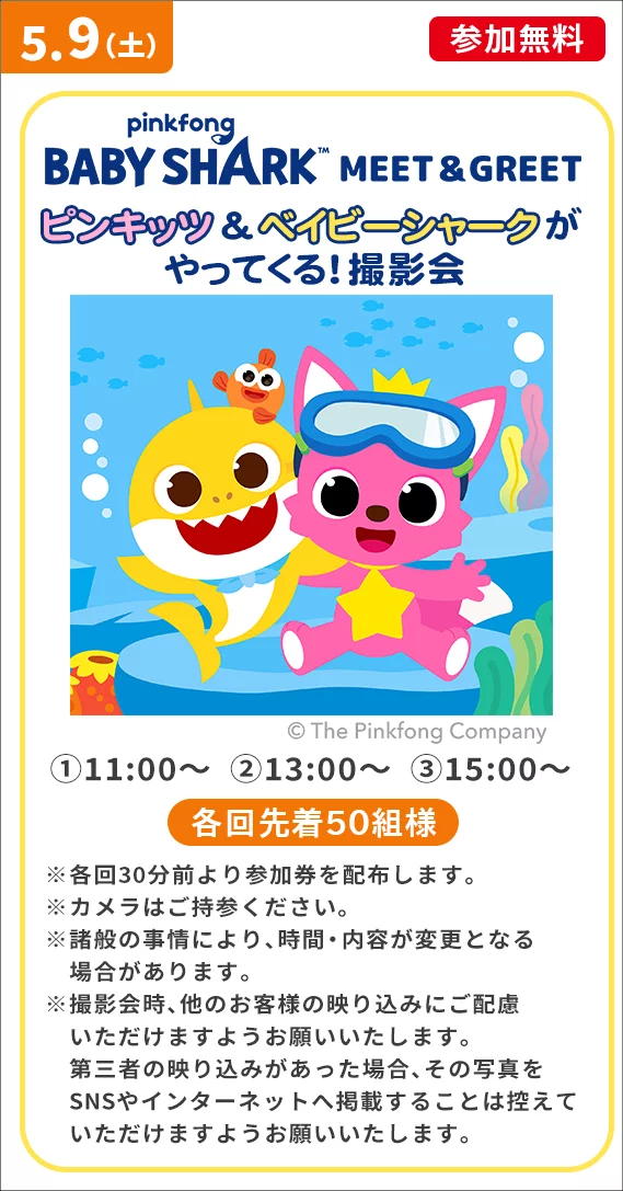 ベイビーシャーク撮影会