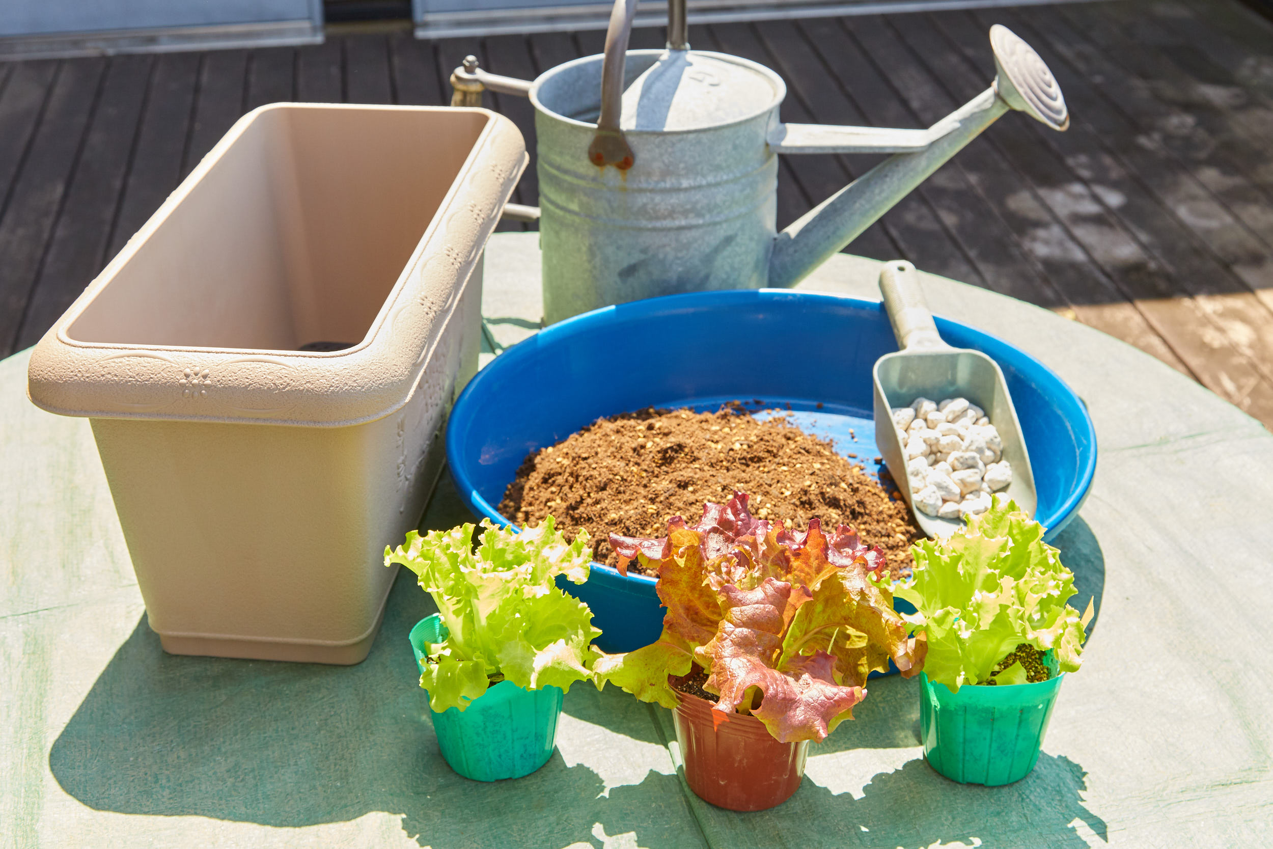 テーブルの上に並ぶ家庭菜園の材料