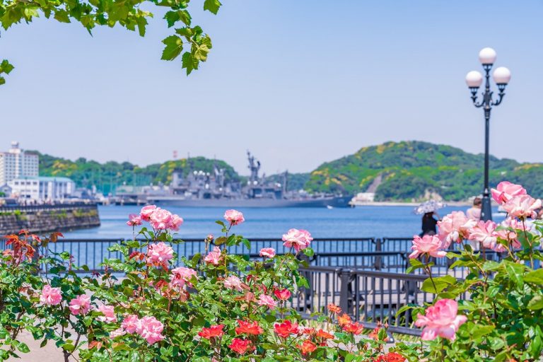 横須賀ローズガーデンからの眺め