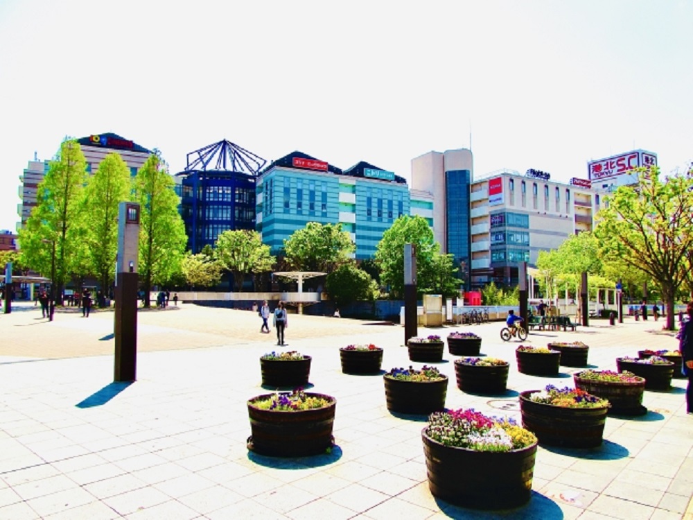 センター南駅前に飾られた花々