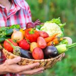 野菜を持った女性