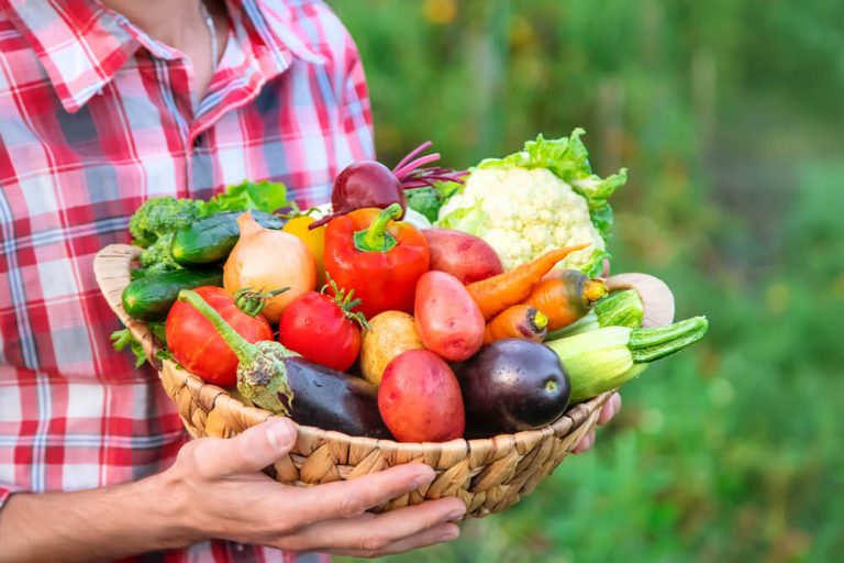 野菜を持った女性